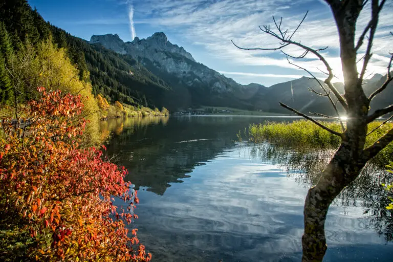 Panorama vom See