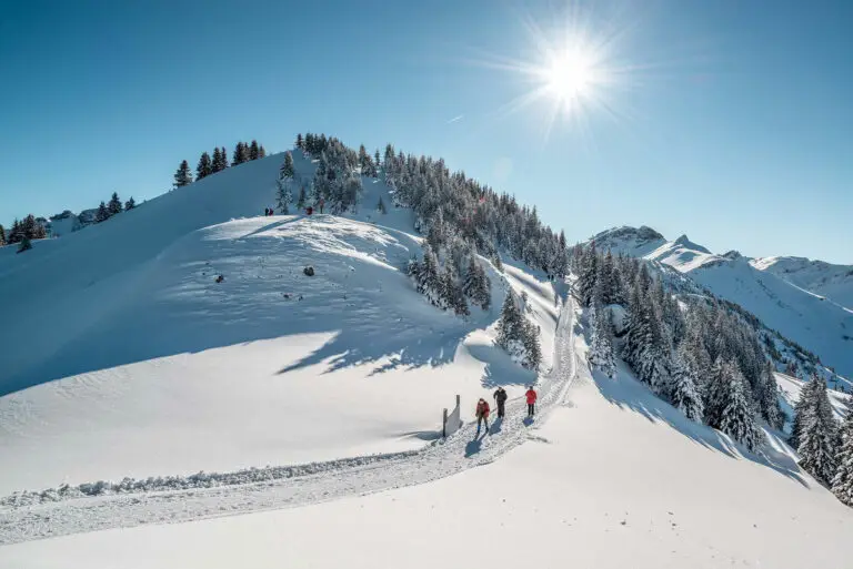 Spaziergang im Schnee