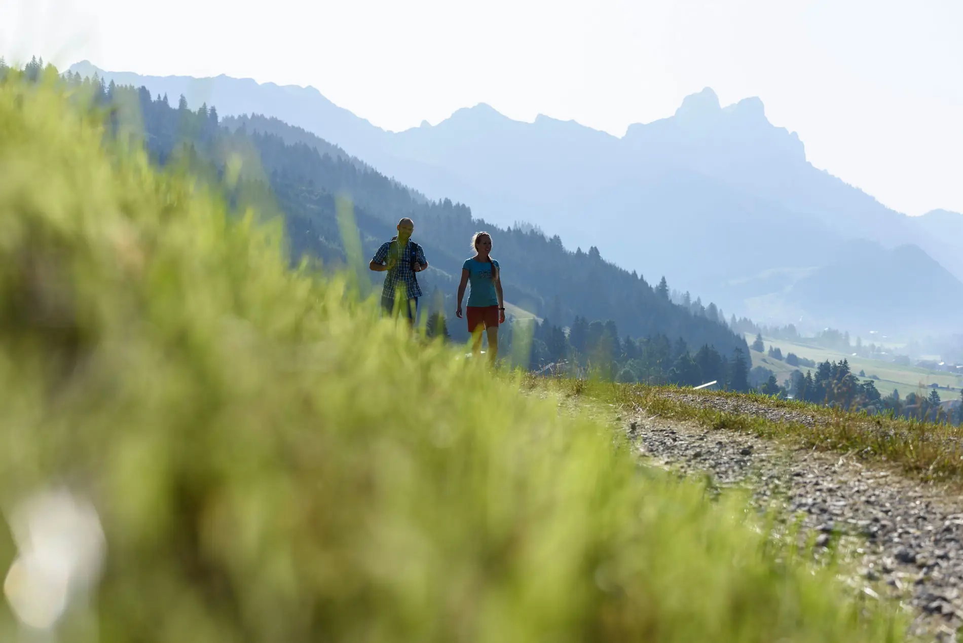 Spaziergang im Tannheimer Tal